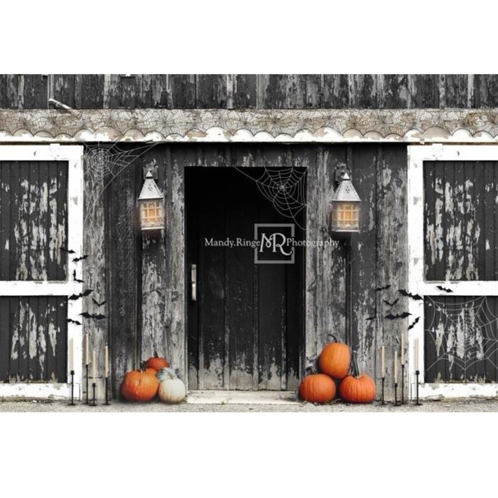 Kate Spooky Halloween Barn Backdrop‎ Designed by Mandy Ringe Photography 17